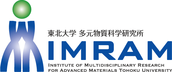 IMRAM logo